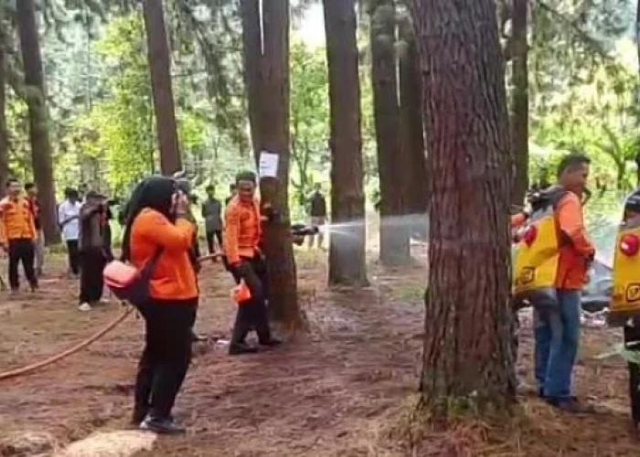 Karhutla Hanguskan 10,85 Hektare Lahan di Majalengka, BPBD Siagakan Personel 24 Jam