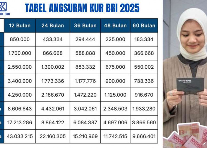 Bunga Ringan! Ini Tabel Angsuran KUR BRI 2025 Rp50 Juta dengan Cicilan 1 Jutaan