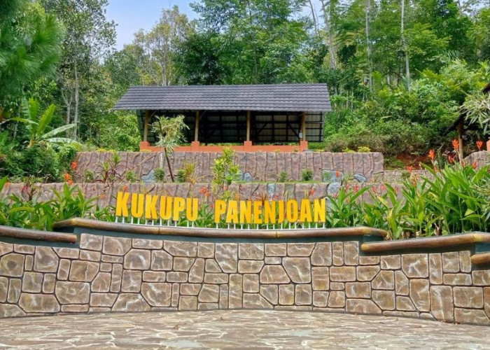 Liburan Lebaran Lebih Seru di Kuningan, Temukan 5 Destinasi Anti Mainstream dengan Panorama Alam Menawan   