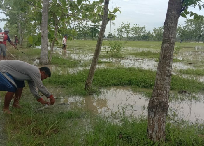 Banjir, Warga Leuweunghapit Berebut Ikan