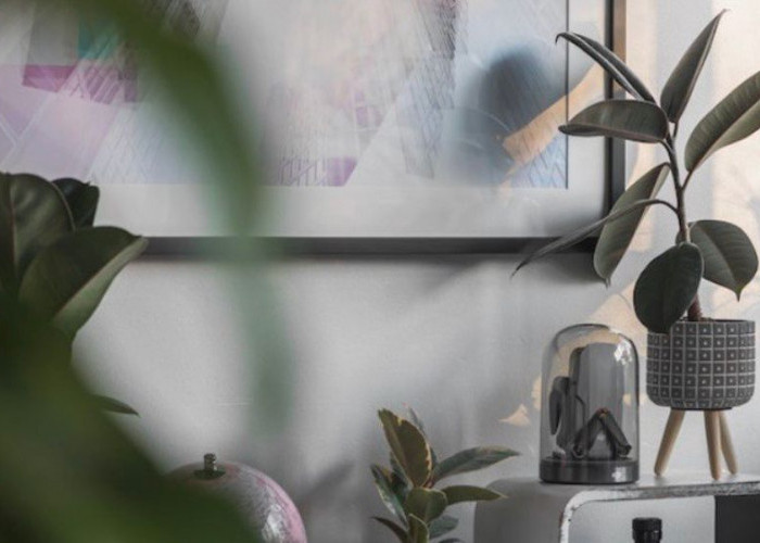 Sejuk Dipandang, Sehat Dihirup, Rekomendasi 8 Tanaman Hias Pembersih Udara di Kamar untuk Rumah Lebih Alami