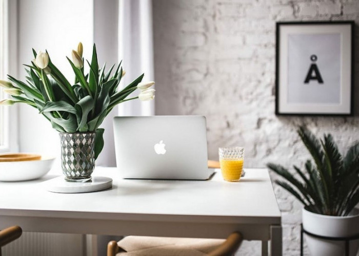 Kerja Makin Fokus & Mood Naik, Ini 5 Tanaman Hias untuk Dekorasi Meja Kantor, Salah Satunya Pembawa Hoki