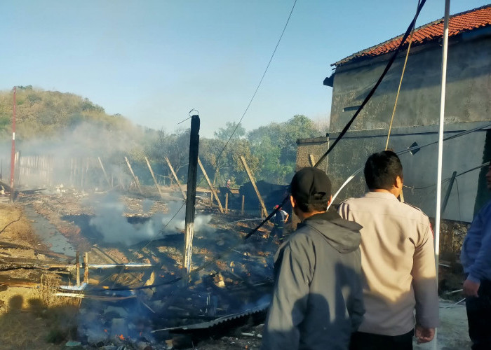 Kandang Ayam 7x100 Meter di Majalengka Terbakar, 18 Ribu DOC Hangus dan Rugi Rp2 Miliar