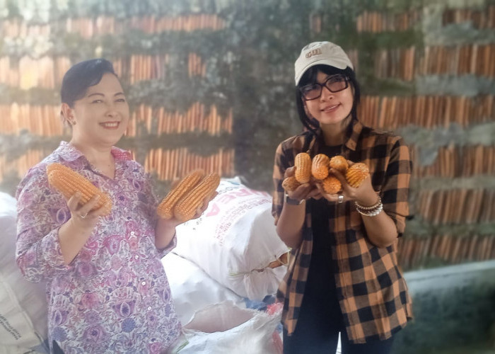 PT Eka Naga Indonesia Targetkan 10 Ribu Hektare Jagung, Lukitasari Perkuat Kesejahteraan Petani Nasional