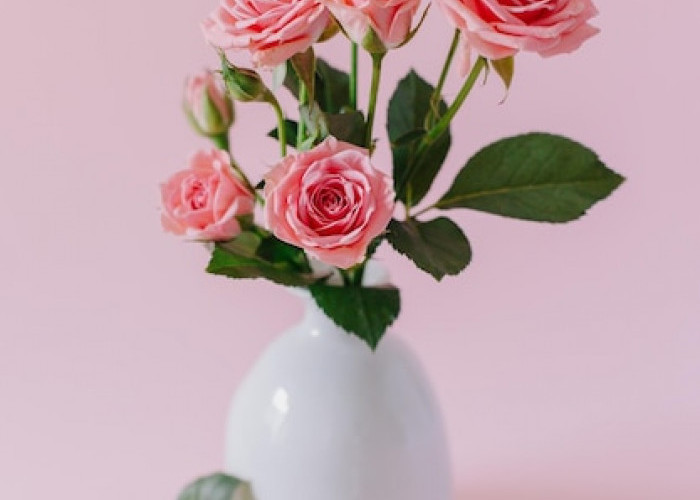 Tak Hanya Estetik, Ini 5 Tanaman Hias Bunga Pembawa Hoki untuk Dekorasi Interior yang Cantik & Harum Semerbak