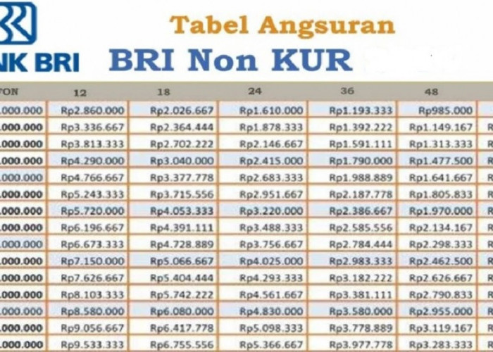Bayar Hanya 146 Ribuan, Berikut Tabel Non KUR BRI 2025 Terbaru Edisi September