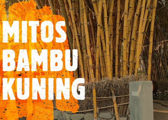 Bikin Rumah Asri dan Aman, 5 Tanaman Penangkal Santet yang Bisa Jadi Dekorasi di Rumah Dalam Primbon Jawa