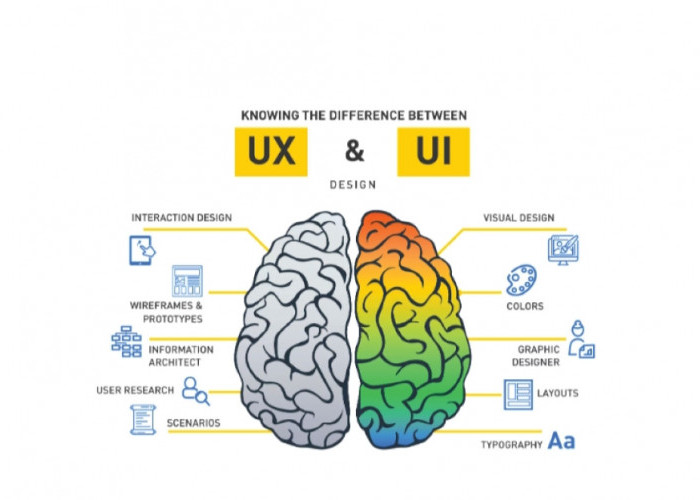 Perbedaan Mendasar Antara UI dan UX Designer. Apa Saja, Simak Berikut Ini!