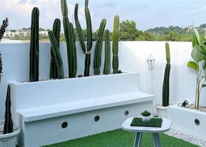 5 Tanaman Hias Estetik untuk Dekorasi Teras Depan Rumah, Bikin Tampilan Hunian Elegan & Modern