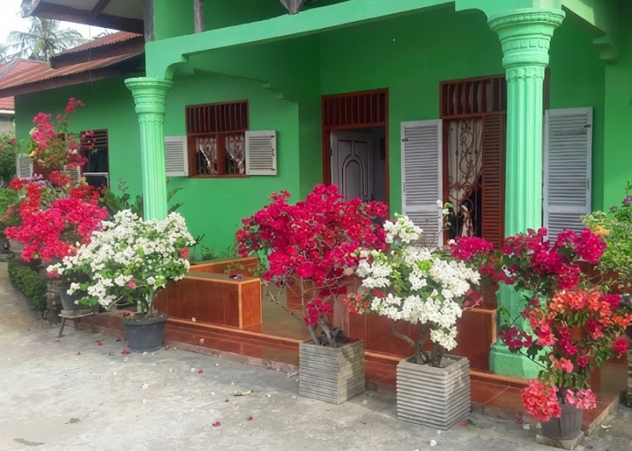 8 Macam Tanaman Hias yang Tahan Panas dan Hujan Angin, Cocok Diletakan di Teras Rumah Sebagai Dekorasi Outdoor