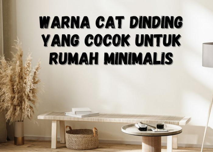 Ini Warna Cat Dinding yang Cocok untuk Rumah Minimalis, Simpel dan Indah!