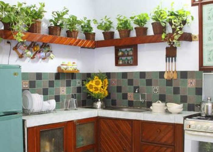 Pelancar Rezeki Pemilik, Ini 5 Tanaman Pembawa Rezeki dan Keberuntungan Serta Pandangan Islam