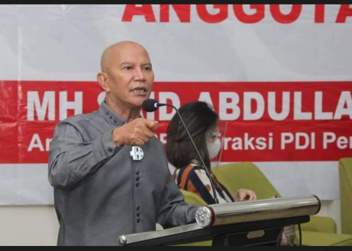 PDIP Kecam Relawan Pendukung Jokowi, Soal Izin Tempur