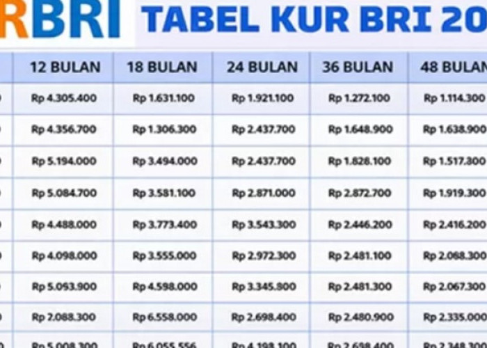 Rincian KUR BRI 2026, Berikut Plafon Pinjaman untuk UMKM Mulai dari 1 Juta Lengkap dengan Cicilan dan Tenor 