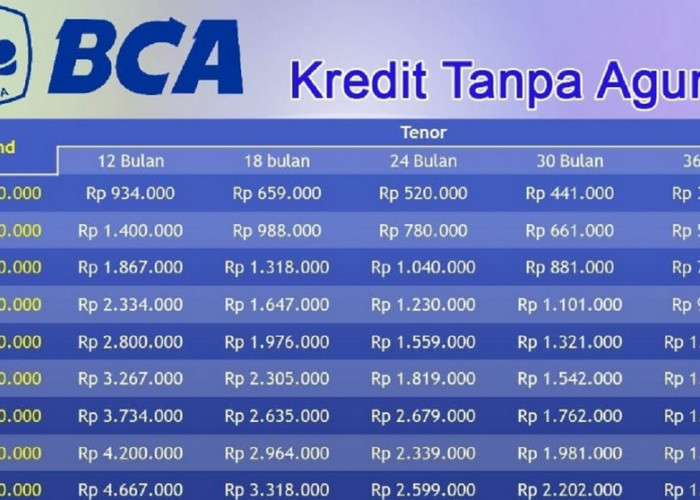 Cara Ajukan Pinjaman KUR BCA Tanpa Agunan, Cek Disini Persyaratan Terbarunya