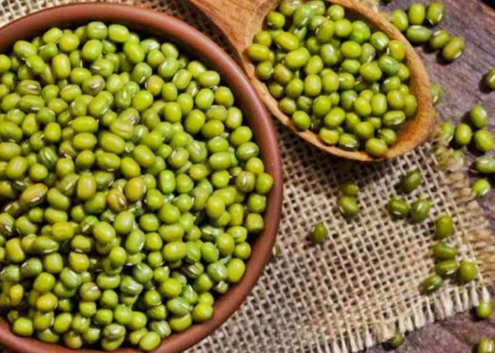 5+ Manfaat Kacang Hijau Yang Bagus Untuk Kesehatan Tubuh 