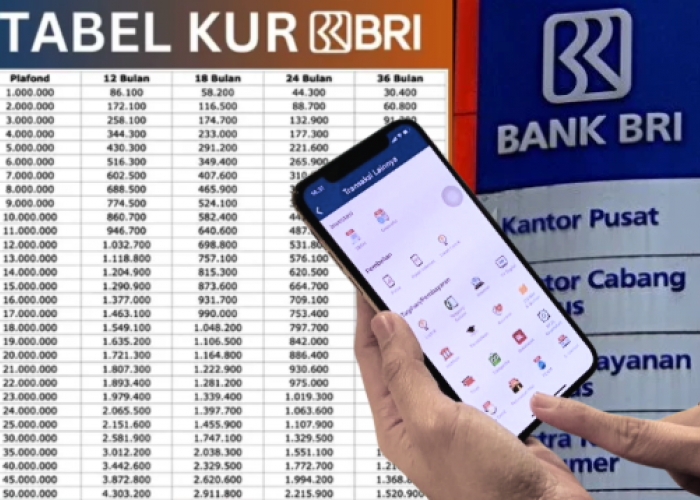 Rincian Pinjaman KUR BRI 10 Juta untuk UMKM, Berikut Simulasi Rinciannya untuk Pinjaman Terendah 