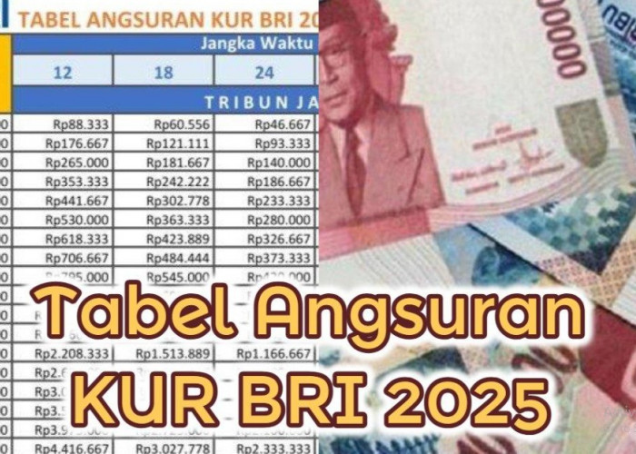 Angsuran Mulai dari 146 Ribuan untuk Pinjaman 100 Juta, Berikut Skema Rincian Pembiayaan Modal Usaha KUR BRI 
