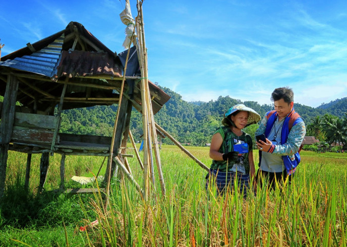 Penyaluran KUR BRI hingga Akhir Juni 2026 Capai Rp103,81 Triliun, Dukung Agenda Pemberdayaan Ekonomi Danantara