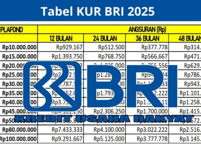 Pas untuk UMKM, Berikut Rincian Angsuran Tabel KUR BRI 2025 Terbaru 100 Juta Plafon