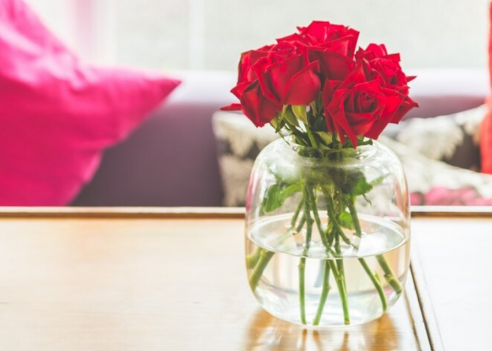 6 Jenis Tanaman Hias Pembawa Rezeki dan Berkah Menurut Islam Ditinjau dari Hadist dan Al Quran