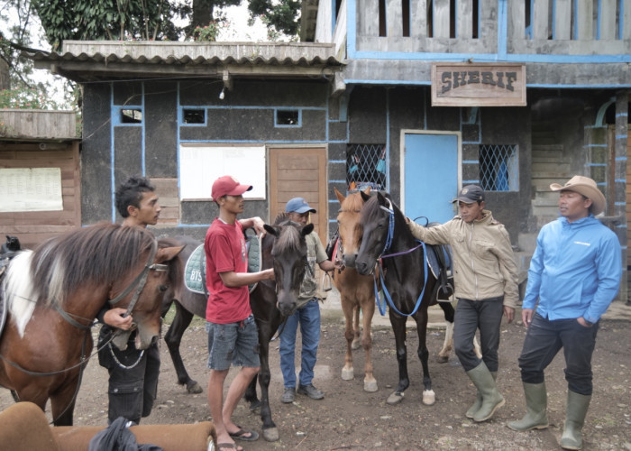 Kampung Koboi Tugu Selatan, Wujud Transformasi Desa Berbasis Potensi Lokal dalam Program Desa BRILiaN