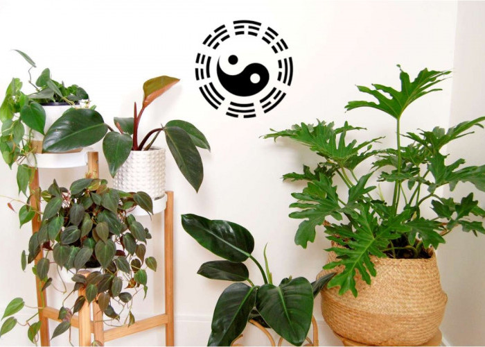 Ini 10 Tanaman Hias Outdoor Pembawa Hoki Menurut Feng Shui: Tarik Rezeki dan Energi Positif Ke Rumah Anda!