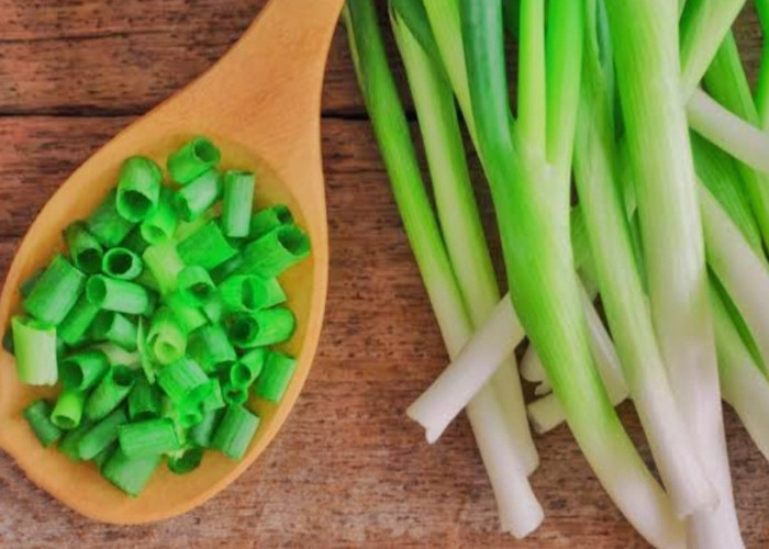 Daun Bawang Bisa Menurunkan Kolesterol? Berikut Beberapa Manfaat Daun Bawang Yang Bagus Untuk Tubuh