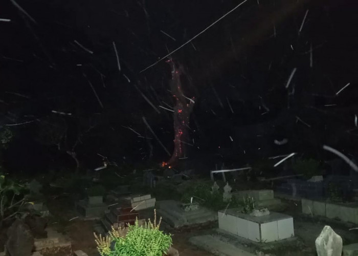 Pohon Beringin di Pemakaman Kuningan Terbakar Selama Dua Hari, Warga Panik Malam Jumat Kliwon