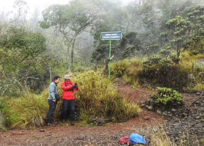 PENGUMUMAN: Jalur Pendakian Gunung Ciremai Ditutup Selama Ramadhan