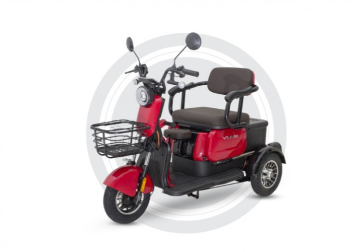 Ramah Disabilitas, Ini Dia 7 Rekomendasi Motor Listrik Roda 3 Terbaik 2025, Harga Murah Kualitas Jempolan