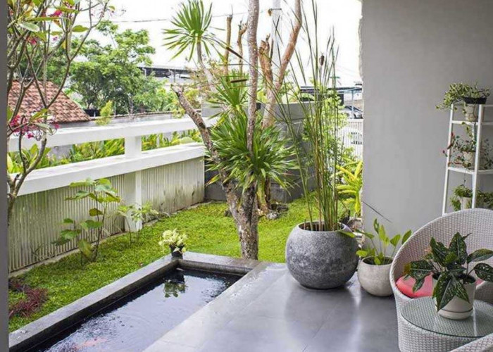 Mengundang Kemakmuran, 10 Tanaman Hias Pembawa Keberuntungan di Depan Rumah yang Tahan Panas dan Hujan