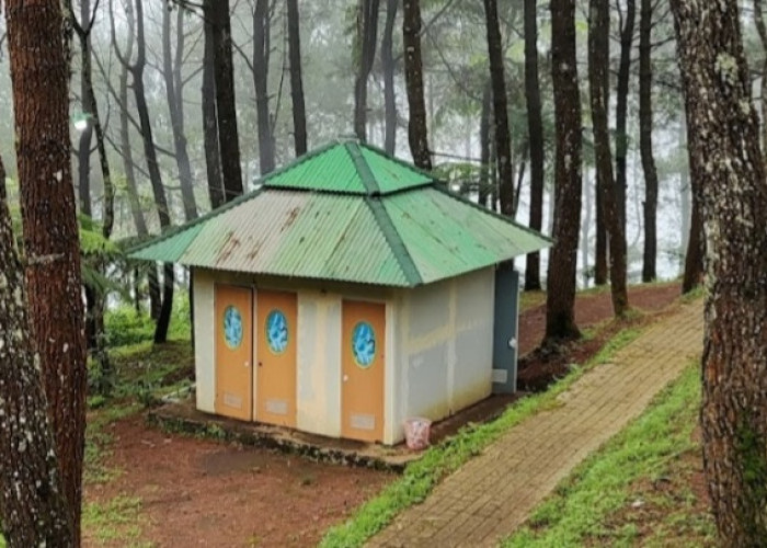 Bukit Kanaga Hill Camp Majalengka, Kaya Akan Pemandangan, Bahkan dari Arah Selatan Bisa Lihat Kuningan 