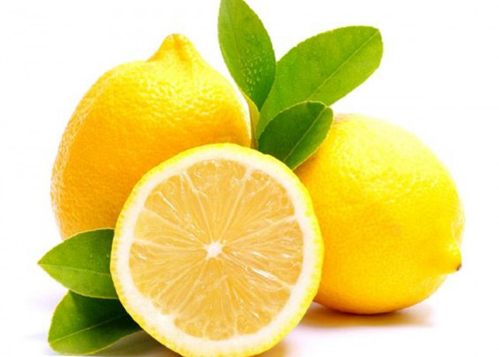 10+ Manfaat Buah Lemon Yang Sangat Baik Untuk Kesehatan, Bisa Menangani Insomnia