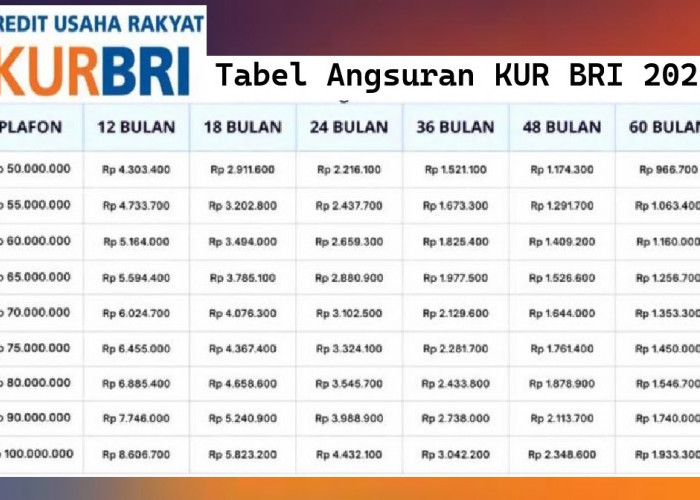Simulasi Cicilan KUR BRI 50 Juta 2026: Tabel Angsuran Lengkap, Cicilan Mulai Rp1 Jutaan Saja per Bulan!
