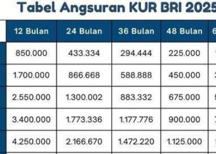 Angsuran Hingga 5 Tahun, Pinjam KUR BRI 50 Juta Angsurannya Berapa Perbulan November 2025? Berikut Infonya