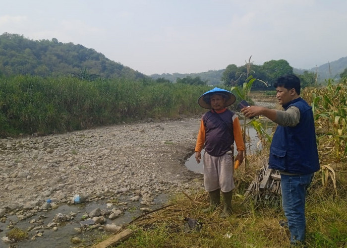 Abrasi Sungai di Desa Cibodas Majalengka Kian Parah, 10 Meter Lahan Pertanian Warga Tergerus