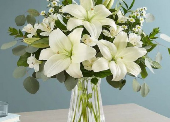 5 Tanaman Hias Pembawa Keberuntungan, Bikin Rumah Lebih Hoki dan Rezeki Mengalir Bagi Hunian