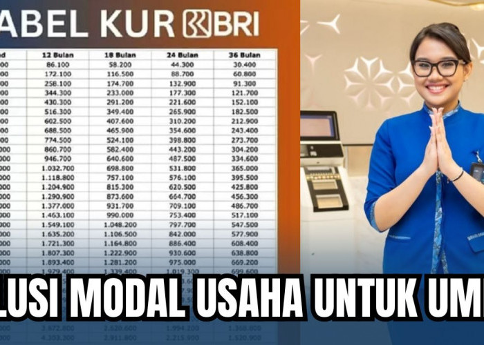 Angsuran KUR BRI Pinjaman 30 Juta Lengkap Dengan Syarat dan Rincian Pinjaman: Solusi Untuk UMKM Naik Kelas!