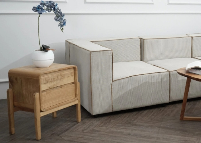 Auto Makin Nyaman & Betah! 5 Tanaman Hias Indoor yang Estetik dan Wangi, Bikin Rumah Lebih Harum Menyegarkan