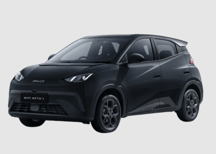 Mobil Listrik Seharga LCGC Tapi Iritnya Bisa Kalahkan Agya dan Brio! Inilah 5 Daftar Mobilnya