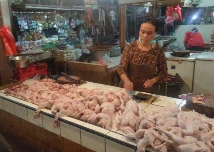 Harga Kebutuhan  Pokok Meroket, Daging Ayam Rp47 Ribu/Kg dan Cabai Rp60 Ribu/Kg 