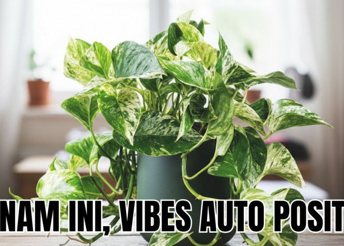 Bawa Vibes Positif Setiap Hari dengan Merawat 4 Tanaman Hias Pengusir Energi Negatif Berikut