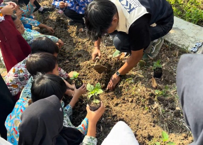 Bukan Sekadar Menanam, Mahasiswa KKN-T Unma Ajarkan Siswa SDN Jatitujuh Cara Budidaya Cabai