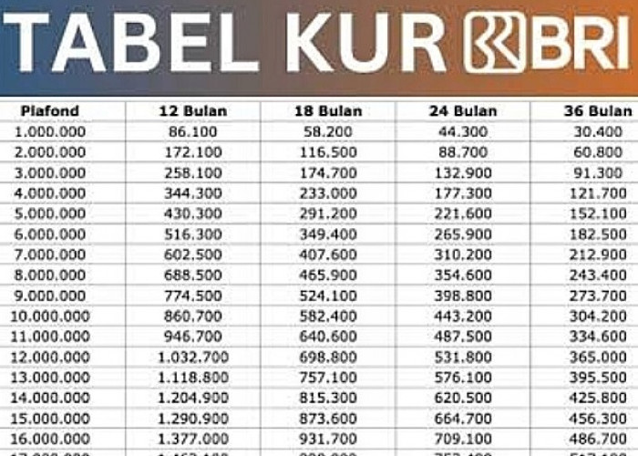 Rincian Angsuran KUR BRI 100 Juta 2025 Terbaru, Dapatkan Pinjaman UMKM dengan Cicilan Bisa Disesuaikan