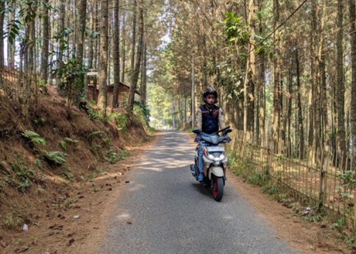 Tak Tertandingi! Yamaha GEAR ULTIMA Sukses Taklukkan Deretan Tanjakan Viral Dengan Easy