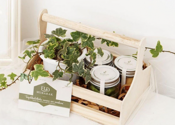 Beda dari yang Lain, 7 Rekomendasi Tanaman Hias untuk Hampers Lebaran, Unik dan Bisa Jadi Ide Jualan!