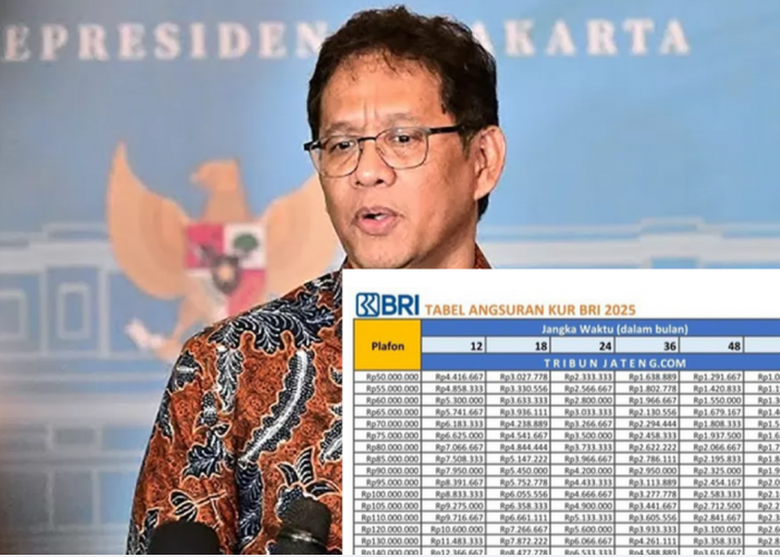 Menkeu Purbaya Gelontorkan Dana 200 T ke Bank Himbara, Ini Syarat dan Tabel KUR BRI Terbaru Edisi Oktober 2025