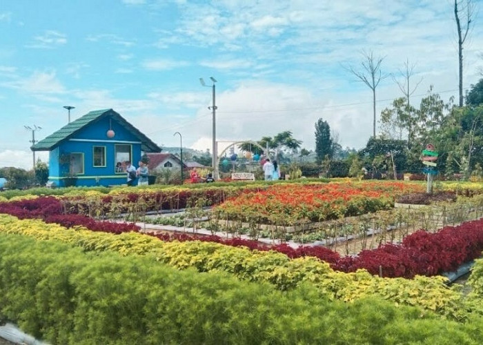 Taman Bunga Bee Park Cocok untuk Wisata Keluarga