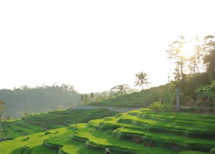 10 Desa Terindah di Majalengka, Ada yang Dibandingkan dengan Bali